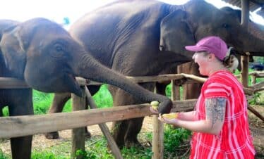 Things To Do in Chiang Mai