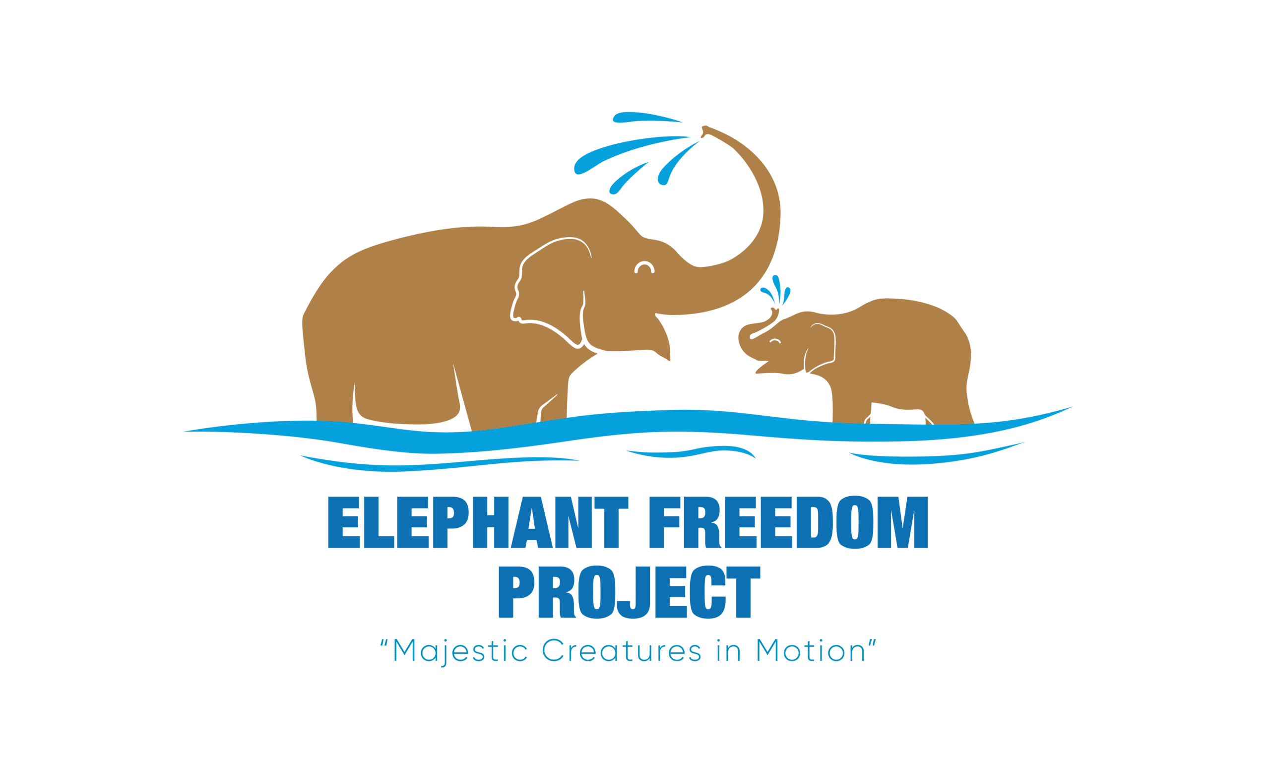 Elephant Freedom Project: Zipline Chiang Mai logo.