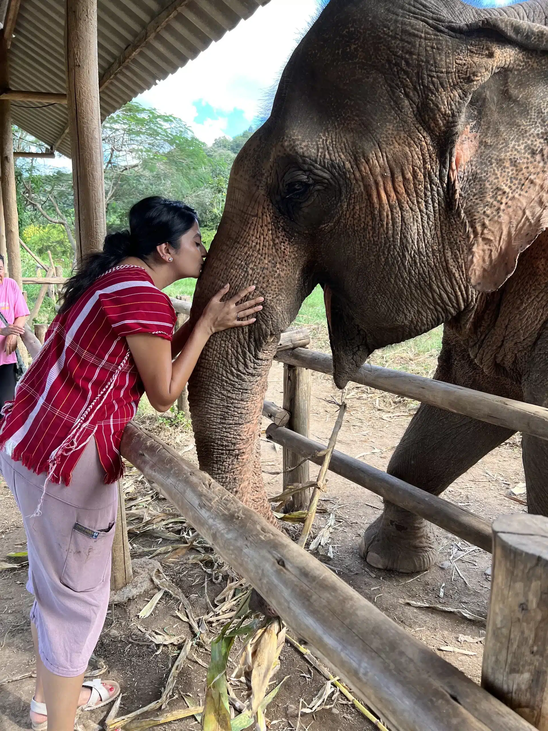 A woman kissing an elephant while ziplining in Chiang Mai.